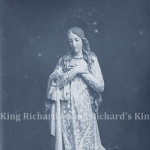 New Beautiful Immaculate Mary Statue